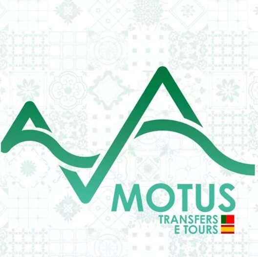 Motus transfers e tours